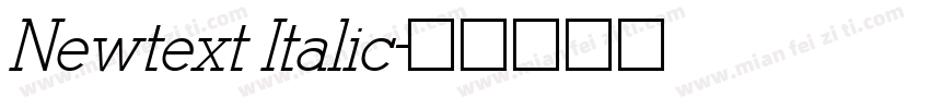 Newtext Italic字体转换